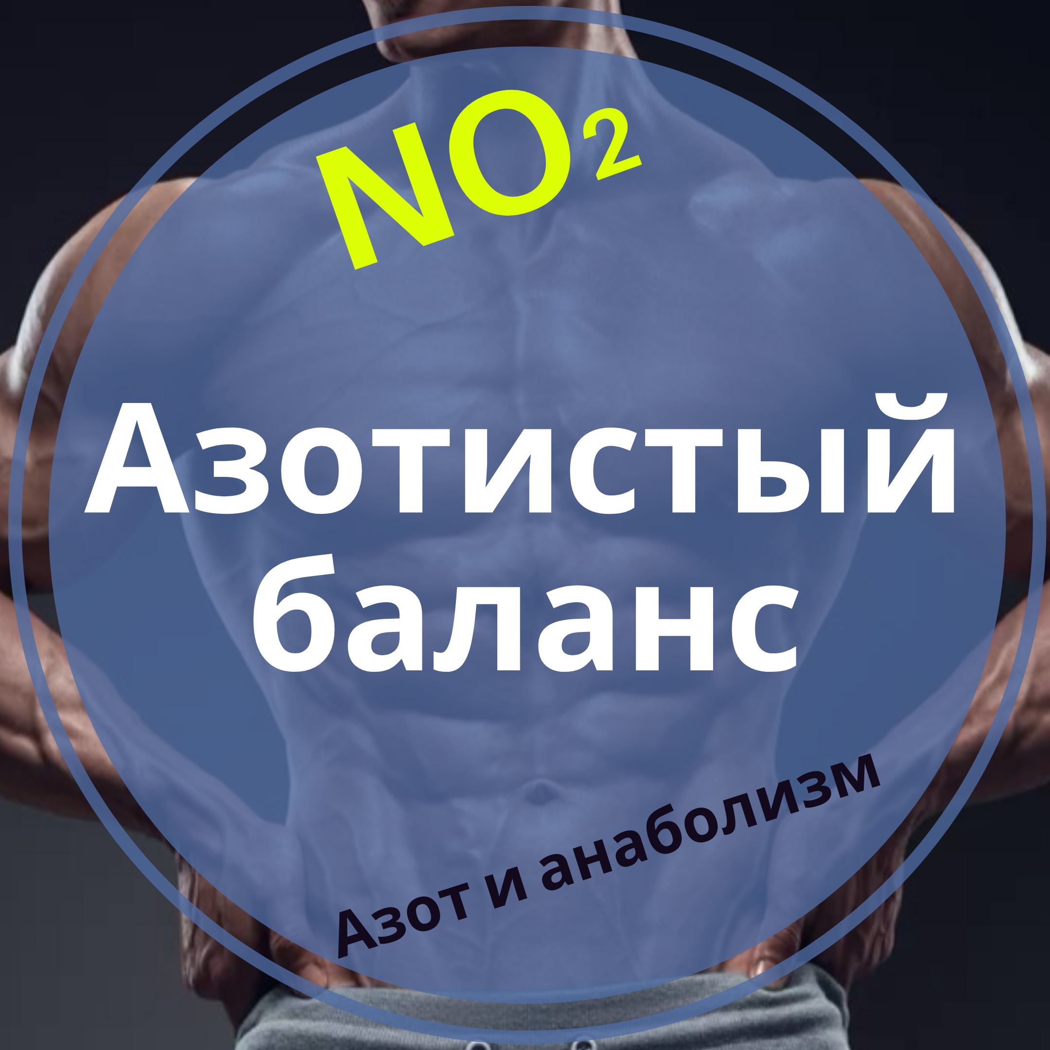 Азотистый баланс организма и анаболизм